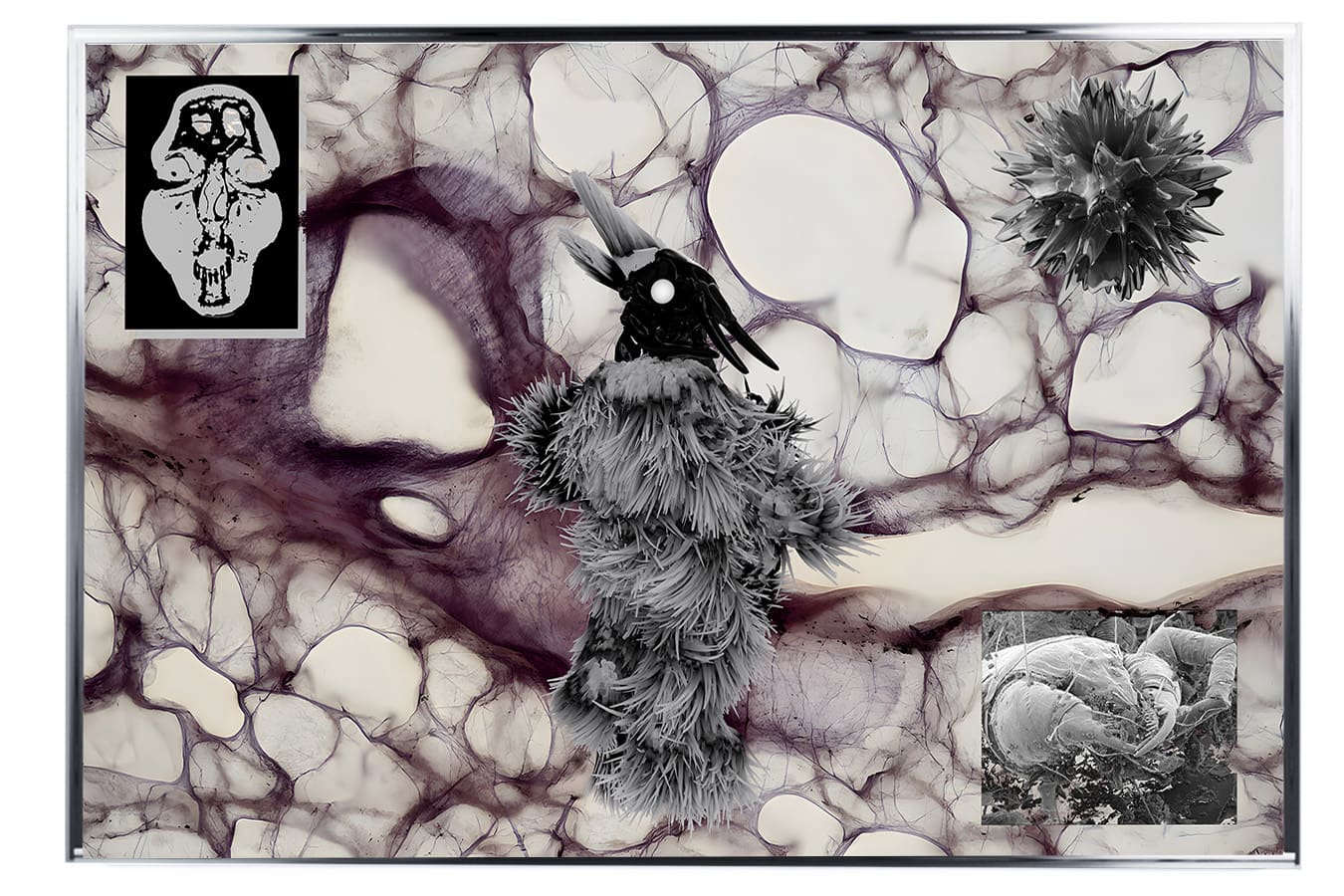 Framed print collaging a bird-masked figure, a skull motif, and microscopic imagery