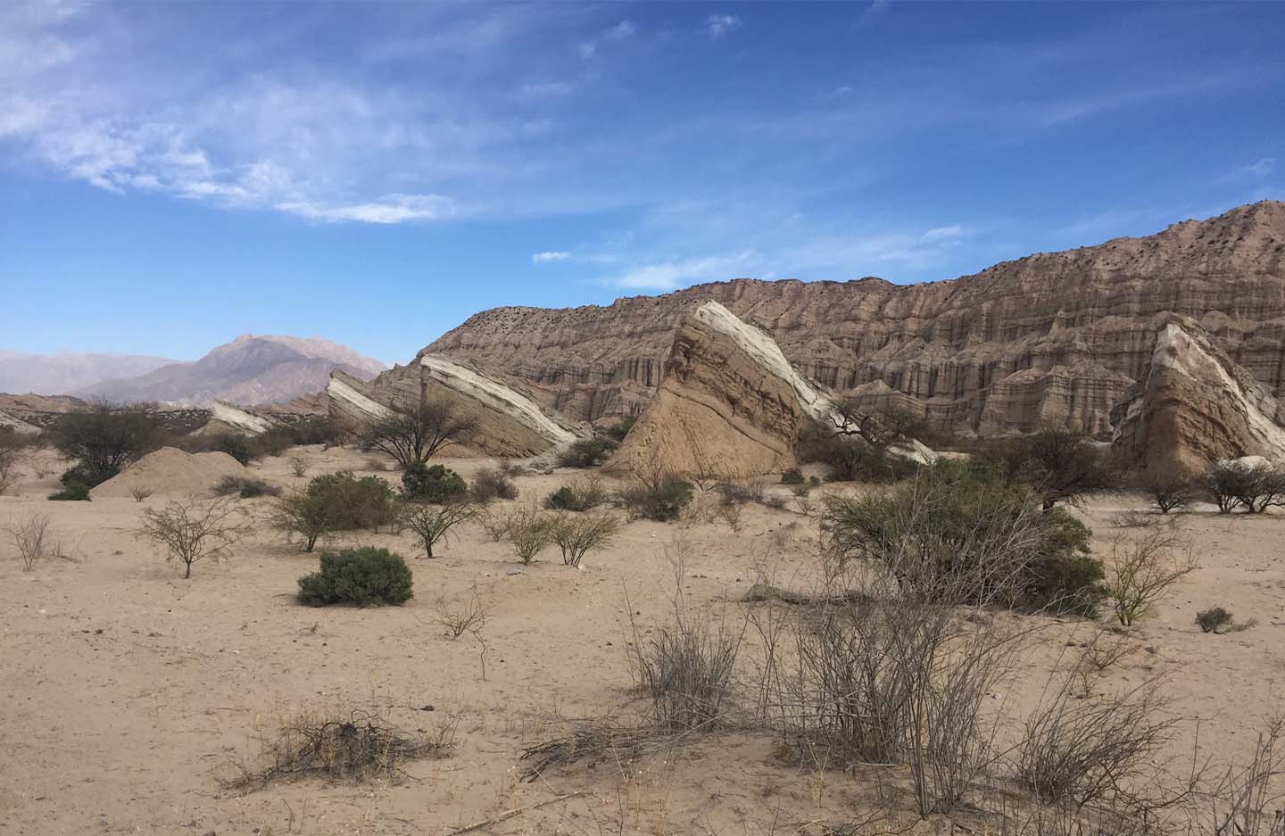 Eroded sandstone canyon with desert scrub, Andean foothills